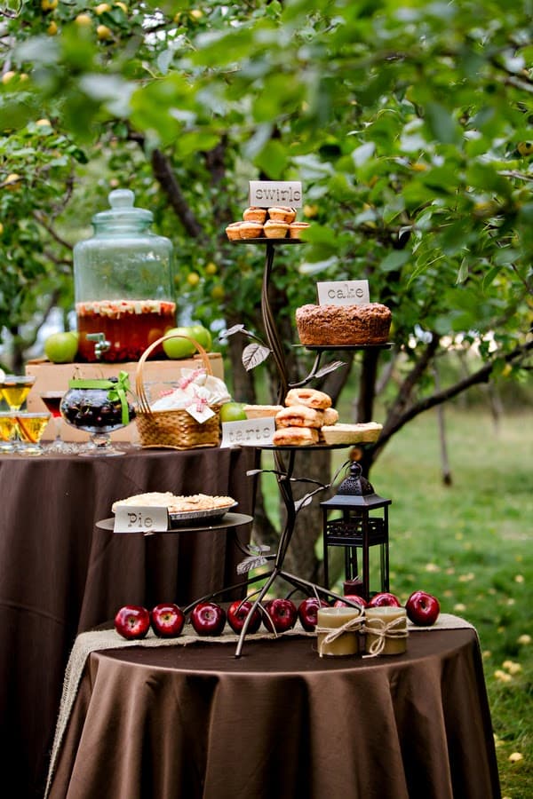 Apple Treat Table Fall Wedding